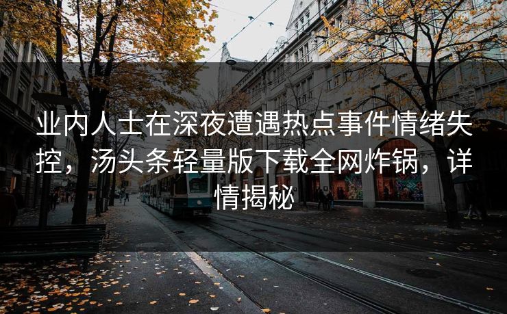 业内人士在深夜遭遇热点事件情绪失控，汤头条轻量版下载全网炸锅，详情揭秘