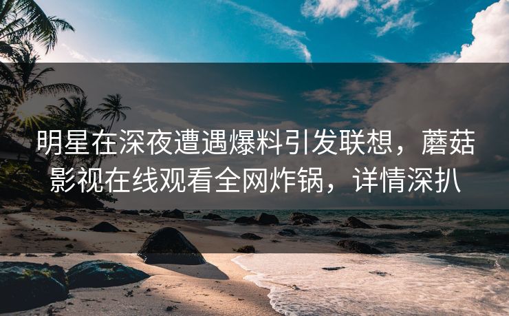 明星在深夜遭遇爆料引发联想，蘑菇影视在线观看全网炸锅，详情深扒