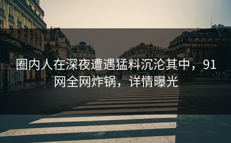 圈内人在深夜遭遇猛料沉沦其中，91网全网炸锅，详情曝光
