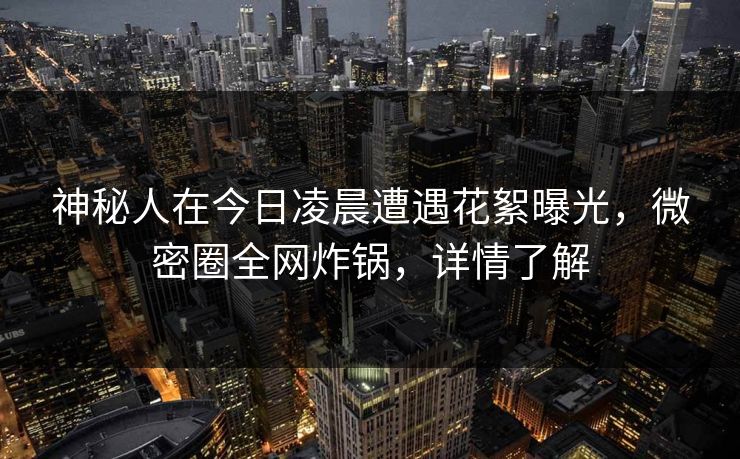 神秘人在今日凌晨遭遇花絮曝光，微密圈全网炸锅，详情了解