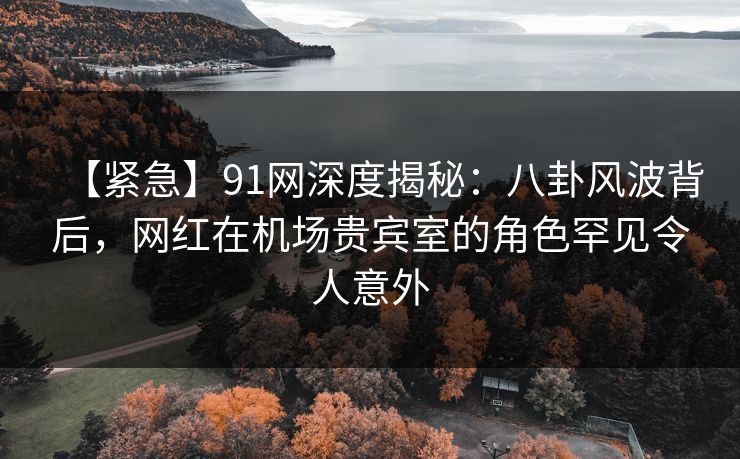 【紧急】91网深度揭秘：八卦风波背后，网红在机场贵宾室的角色罕见令人意外